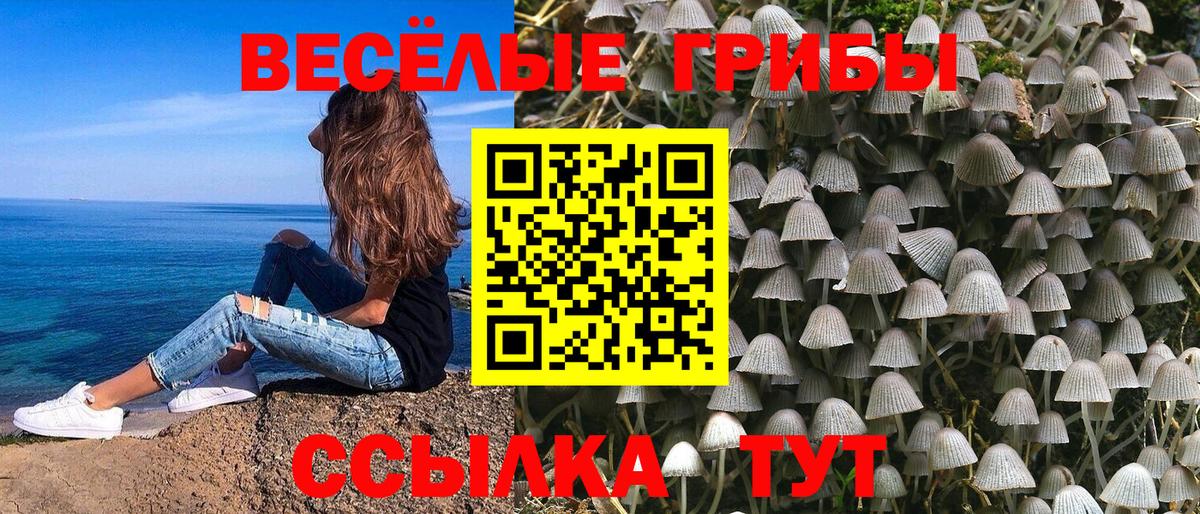 Химки  Галлюциногенные грибы GOLDEN TEACHER  Вход с VPN  Галлюциногенные грибы Psilocybine cubensis 